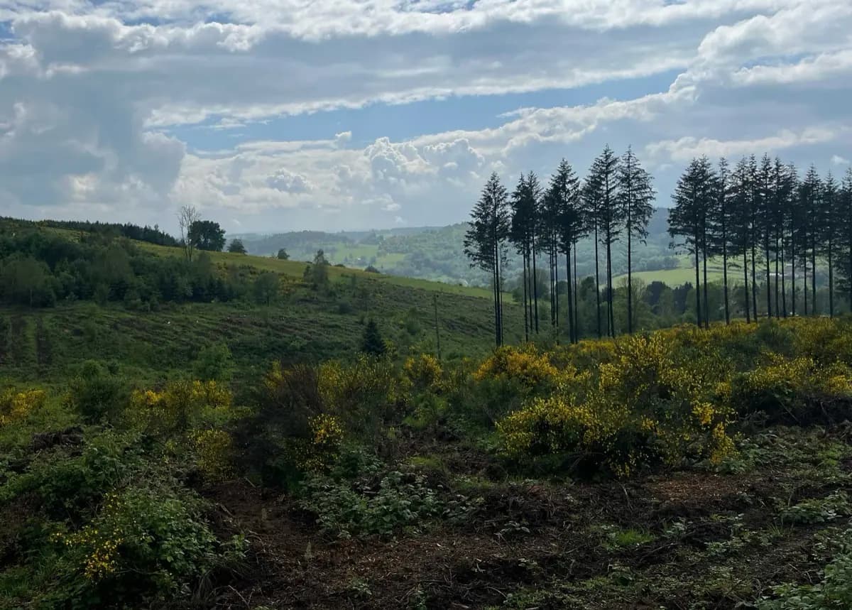 Comment le projet du Bois de la Montagne intègre la performance carbone et la biodiversité ?