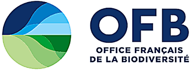 OFB