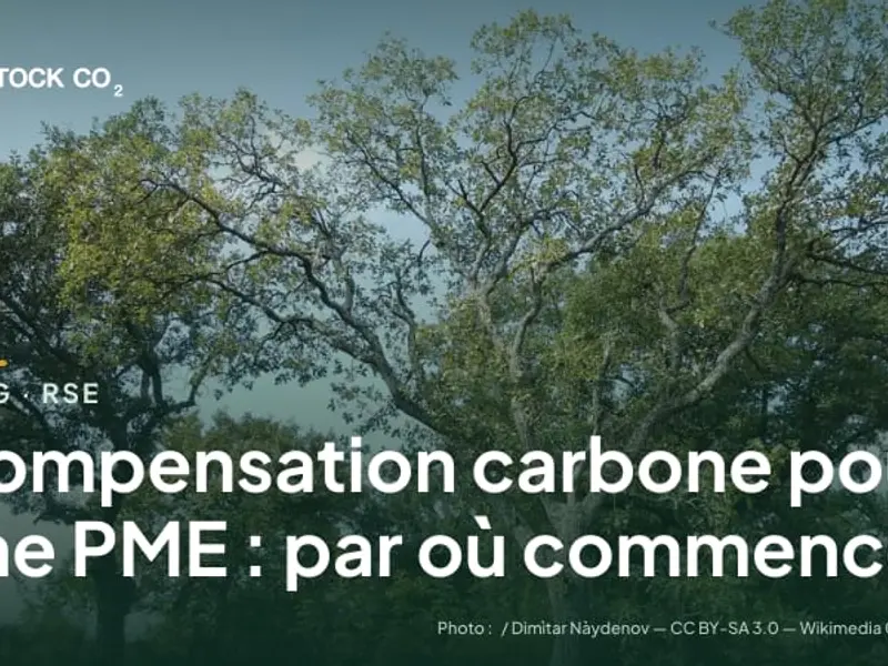 Compensation carbone pour une PME : par où commencer