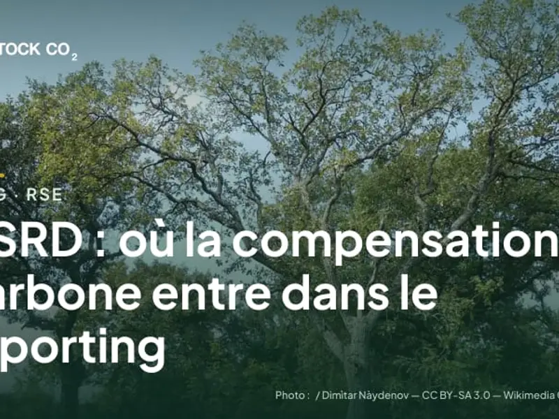 CSRD : où la compensation carbone entre dans le reporting