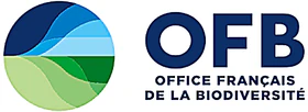 OFB